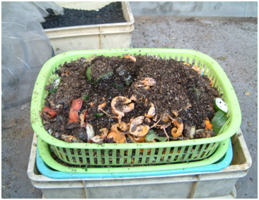 落葉の堆肥化と発生ミミズの利用 解説追加 エコ るど京大 京都大学 環境エネルギー管理情報サイト